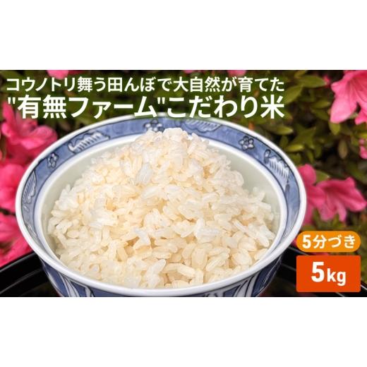 ふるさと納税 米 ヒノヒカリ 兵庫県 加西市 米 コウノトリ舞う田んぼで大自然が育てた"有無ファーム"こだわり米 5分づき 5kg お米 栽培期間中農薬・…