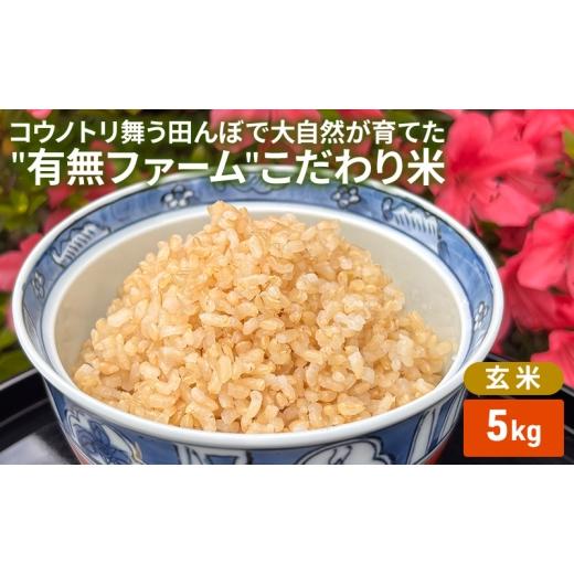 ふるさと納税 米 ヒノヒカリ 兵庫県 加西市 米 コウノトリ舞う田んぼで大自然が育てた"有無ファーム"こだわり米 玄米 5kg お米 栽培期間中農薬・化…