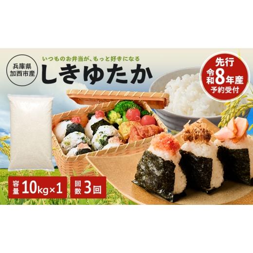 ふるさと納税 米 兵庫県 加西市 米 令和8年産 先行受付 しきゆたか 白米 10kg 3か月連続お届け お米 精米 単一原料米 お弁当 おにぎり 冷めても美味しい 農業…