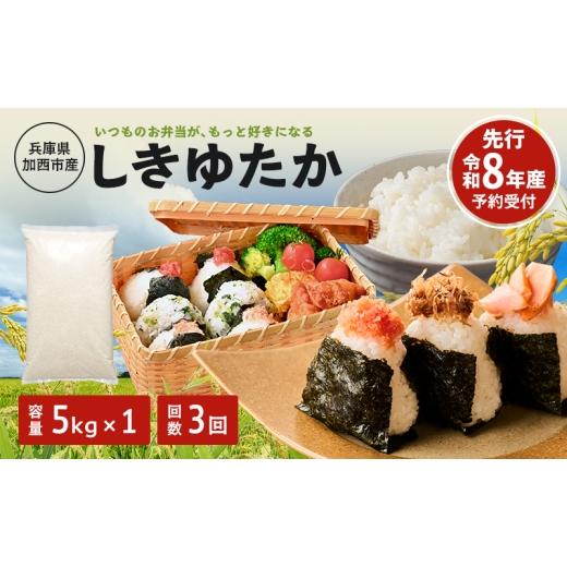 ふるさと納税 米 兵庫県 加西市 定期便 米 令和8年産 先行受付 しきゆたか 白米 5kg 3か月連続お届け お米 精米 単一原料米 お弁当 おにぎり 冷めても美味しい…
