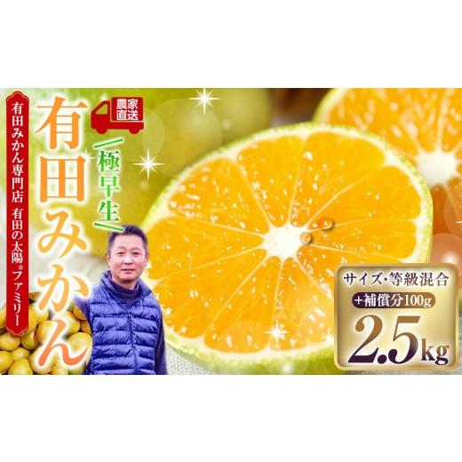ふるさと納税 果物類 みかん 和歌山県 有田川町 有田みかん専門店 有田の太陽?ファミリー 極早生 有田みかん 2.5kg+補償分100g 山採れ・サイズ・等級 混合 2.…