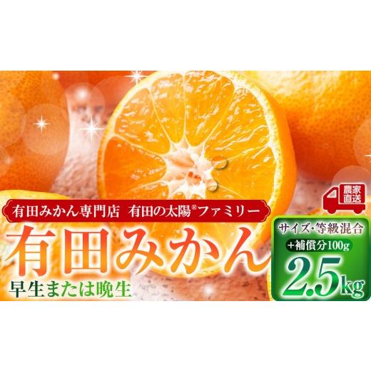 ふるさと納税 果物類 みかん 和歌山県 有田川町 有田みかん専門店 有田の太陽?ファミリー 早生または晩生 有田みかん 2.5kg+補償分100g 山採れ・サイズ・等級…