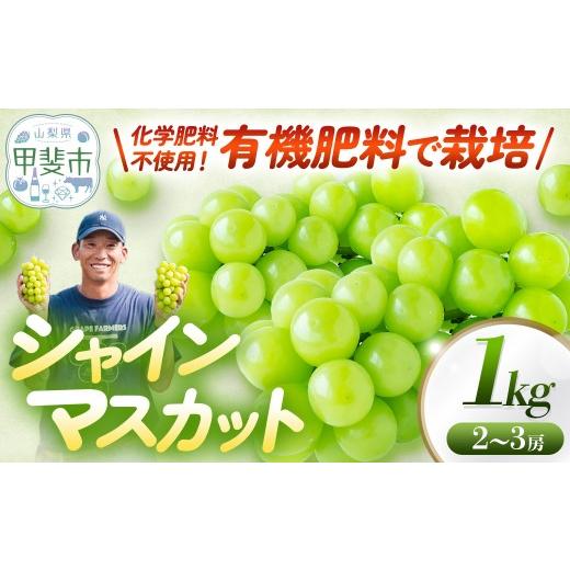 ふるさと納税 ぶどう マスカット 山梨県 甲斐市 山梨県 甲斐市産 シャインマスカット1kg 葡萄 フルーツ 果物 山梨 ぶどう 高級 フルーツ ギフト フルーツ ブ…