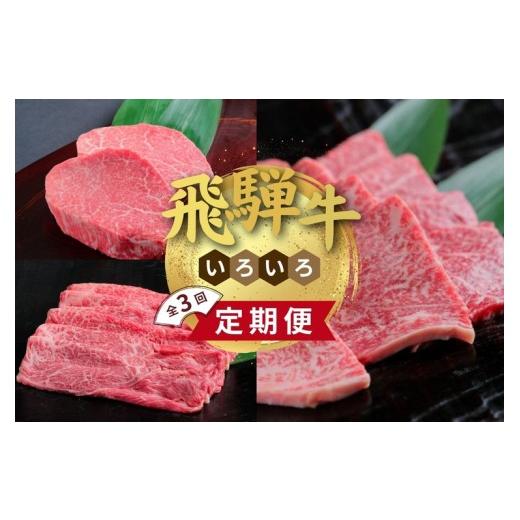 ふるさと納税 牛肉 サーロイン 岐阜県 瑞穂市 チョイス限定 定期便 飛騨牛いろいろ定期便 3ヶ月Bセット | 牛肉 セット 牛肉セット 限定 食べ比べ アソート 国…