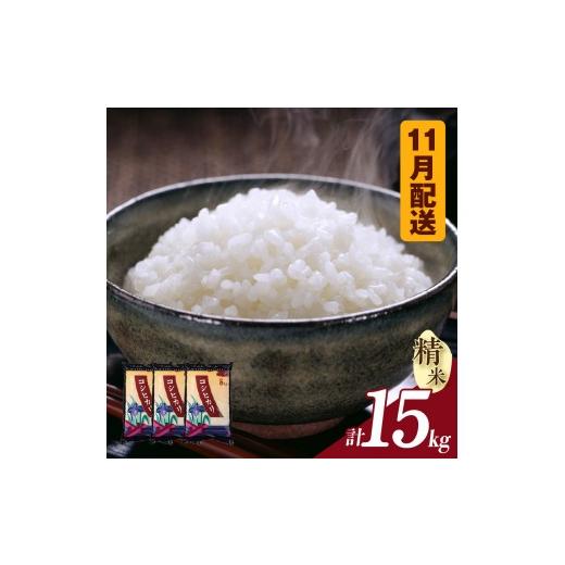 ふるさと納税 米 コシヒカリ 愛知県 知立市 令和8年産 先行予約 コシヒカリ(精米)15kg(11月発送)(3573) 11月発送