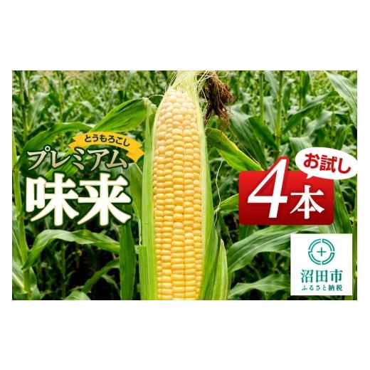 ふるさと納税 とうもろこし 群馬県 沼田市 [7月下旬〜9月上旬発送]とうもろこし プレミアム味来 お試しセット(4本)山口いちご園