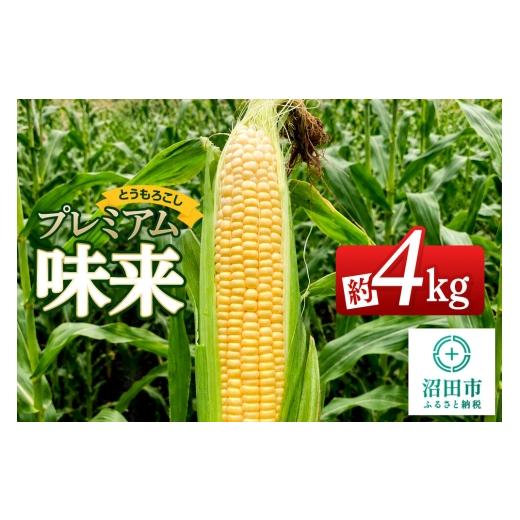 ふるさと納税 とうもろこし 群馬県 沼田市 [7月下旬〜9月上旬発送]とうもろこし プレミアム味来 約4kg(8〜12本)山口いちご園