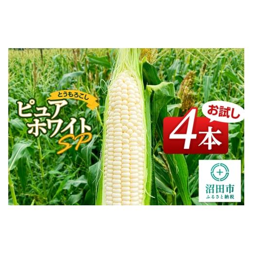 ふるさと納税 とうもろこし 群馬県 沼田市 [7月下旬〜9月上旬発送]とうもろこし ピュアホワイトSP お試しセット(4本)山口いちご園