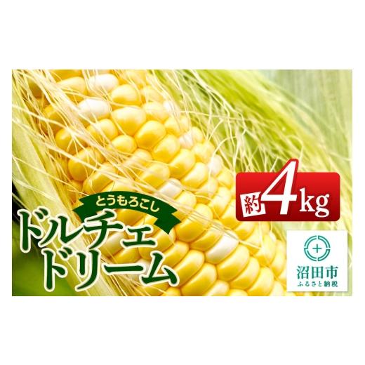 ふるさと納税 とうもろこし 群馬県 沼田市 [7月下旬〜9月上旬発送]とうもろこし ドルチェドリーム 約4kg(8〜12本) 山口いちご園
