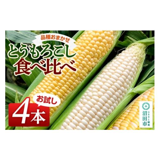 ふるさと納税 とうもろこし 群馬県 沼田市 [7月下旬〜9月上旬発送]とうもろこし食べ比べ お試し4本セット 山口いちご園