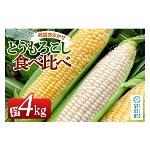 ふるさと納税 とうもろこし 群馬県 沼田市 [7月下旬〜9月上旬発送]とうもろこし食べ比べ 約4kg(8〜12本)詰め合わせセット 山口いちご園