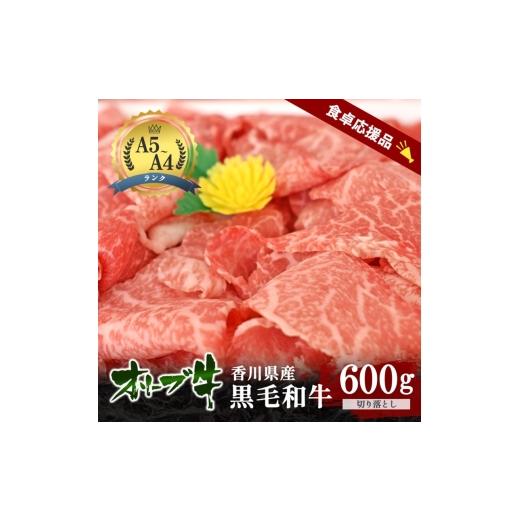 ふるさと納税 牛肉 香川県 東かがわ市   「期間限定」香川県産黒毛和牛オリーブ牛「切り落とし600g(300g×2p)」牛肉 肉 お肉 和牛 香川 香川県 東…