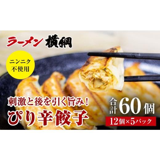 ふるさと納税 惣菜・レトルト 冷凍 京都府 京都市 ラーメン横綱 ニンニク不使用 ぴり辛餃子 5パック60個 京都 有名店 餃子 大人気セット[ 刺激と後を引く旨…