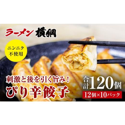 ふるさと納税 惣菜・レトルト 冷凍 京都府 京都市 ラーメン横綱 ニンニク不使用 ぴり辛餃子 10パック120個 京都 有名店 餃子 大人気セット[ 刺激と後を引く…
