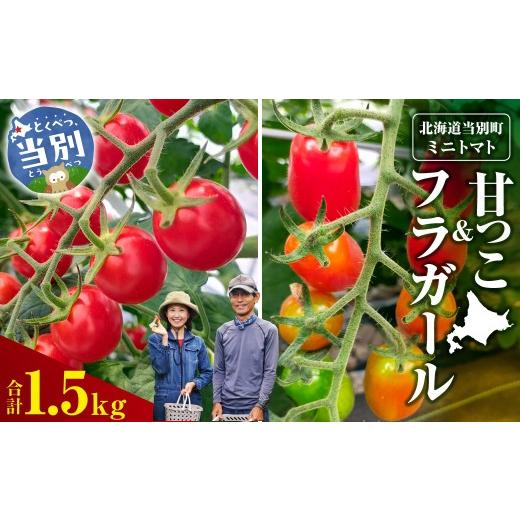 ふるさと納税 トマト ミニトマト 北海道 当別町 北海道当別町産化学農薬不使用ミニトマト 甘っこ750g+フラガール750g(合計1.5kg) 1.5kg(甘っこ750g・フラ…