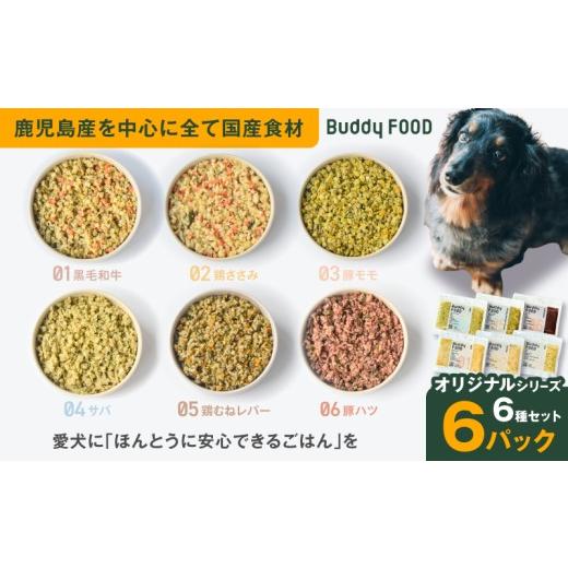 ふるさと納税 牛肉 鹿児島県 鹿児島市 Buddy FOOD オリジナルシリーズ6種セット K390-001_19 (19)オリジナルシリーズ6種セット