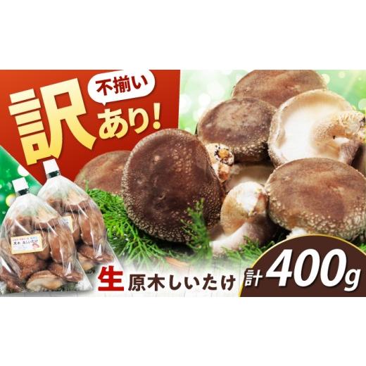 ふるさと納税 野菜類 きのこ 岐阜県 白川町 訳あり 不揃い 原木しいたけ 400g(200g×2袋)椎茸 しいたけ シイタケ 訳あり 国産 岐阜 白川町 / 清水しいたけ…