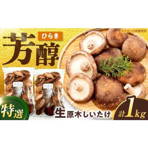 ふるさと納税 野菜類 きのこ 岐阜県 白川町 特選生しいたけ ひらき 1kg(500g×2袋)椎茸 しいたけ シイタケ 生 国産 岐阜 白川町 / 清水しいたけ園