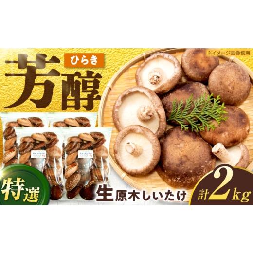 ふるさと納税 野菜類 きのこ 岐阜県 白川町 特選生しいたけ ひらき 2kg(500g×4袋) 椎茸 しいたけ シイタケ 生 国産 岐阜 白川町 / 清水しいたけ園 AWAY007…