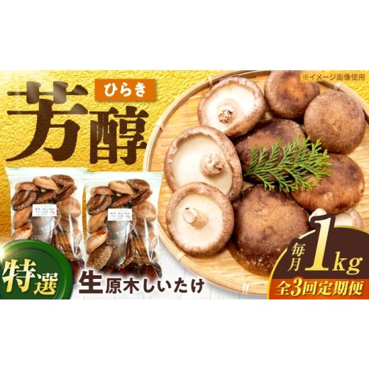 ふるさと納税 野菜類 きのこ 岐阜県 白川町 3回定期便 特選生しいたけ ひらき 1kg(500g×2袋) 椎茸 しいたけ シイタケ 生 国産 岐阜 白川町 / 清水しいた…