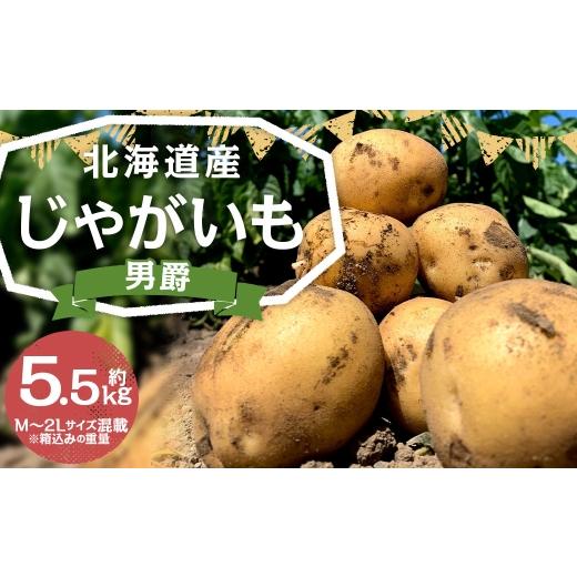 ふるさと納税 野菜類 じゃがいも 北海道 京極町 [ ふるさとチョイス限定 ] 北海道産じゃがいも ( 男爵 ) 約5.5kg 山田農場 じゃがいも ジャガイモ いも イモ…
