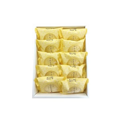 ふるさと納税 和菓子 栃木県 小山市 みかもの月 10個 1727157
