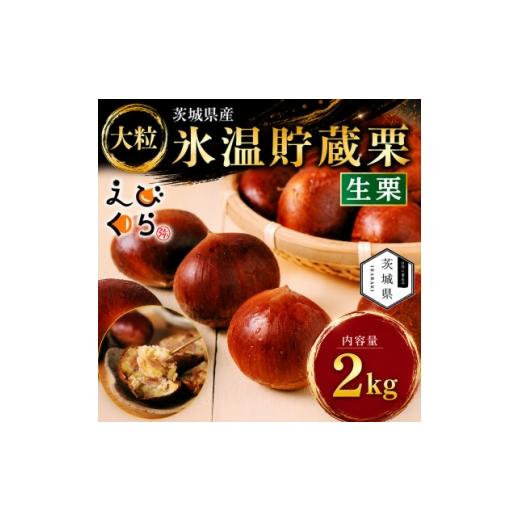 ふるさと納税 果物類 栗 茨城県 - 生産者直送 茨城県産 海老澤農園の氷温熟成栗2kg 生栗 大玉 薬剤不使用 1745647