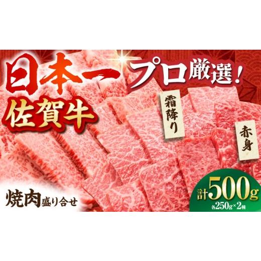 ふるさと納税 牛肉 焼肉・バーベキュー 佐賀県 江北町 通常発送 佐賀牛 焼肉 盛り合わせ 500g(霜降り・赤身 各250g) 田中畜産牛肉店 HBH160 通常発送