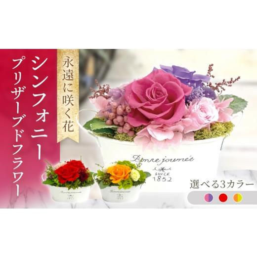 ふるさと納税 雑貨・日装具 花 長崎県 大村市 交響楽 プリザーブドフラワー 申し合わせ お花差し上げ物 ／ 大村市 サニーサイドファクトリー ACCK052