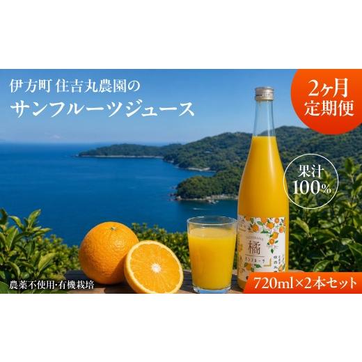 ふるさと納税 果汁飲料 みかん 愛媛県 伊方町 2か月定期便 サンフルーツジュース 720ml×2本 ふるさと納税 人気 おすすめ ランキング サンフルーツジュース …
