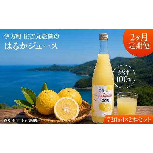 ふるさと納税 果汁飲料 みかん 愛媛県 伊方町 2か月定期便 はるかジュース 720ml×2本 ふるさと納税 人気 おすすめ ランキング はるかジュース はるか みかん…
