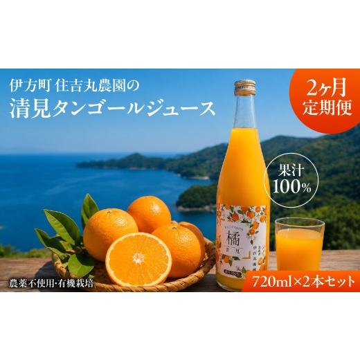 ふるさと納税 果汁飲料 みかん 愛媛県 伊方町 2か月定期便 清見タンゴールジュース 720ml×2本 ふるさと納税 人気 おすすめ ランキング はるかジュース みか…