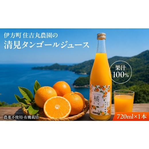 ふるさと納税 果汁飲料 みかん 愛媛県 伊方町 清見タンゴールジュース 720ml×1本 ふるさと納税 人気 おすすめ ランキング 清見タンゴール ジュース みかん ミ…