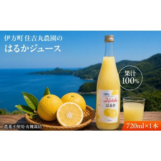 ふるさと納税 果汁飲料 みかん 愛媛県 伊方町 はるかジュース 720ml×1本 ふるさと納税 人気 おすすめ ランキング はるかジュース みかん ミカン オレンジ 無…