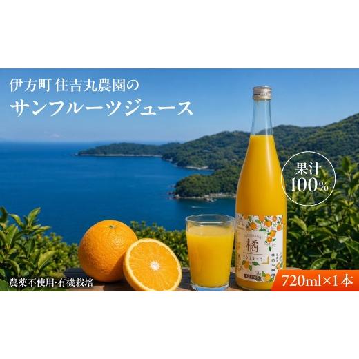 ふるさと納税 果汁飲料 みかん 愛媛県 伊方町 サンフルーツジュース 720ml×1本 ふるさと納税 人気 おすすめ ランキングサンフルーツジュース みかん ミカン …