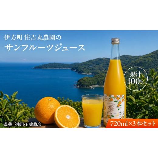 ふるさと納税 果汁飲料 みかん 愛媛県 伊方町 サンフルーツジュース 720ml×3本 ふるさと納税 人気 おすすめ ランキングサンフルーツジュース みかん ミカン …