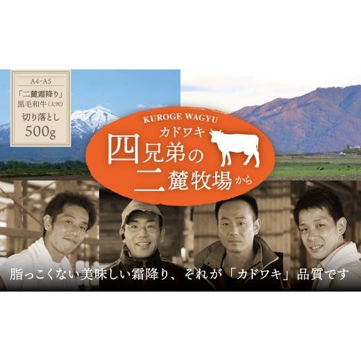 ふるさと納税 牛肉 三重県 四日市市 A4・A5「二麓(にろく)霜降り」黒毛和牛(大判)切り落とし 500g(250g×2)ニセコ連峰と鈴鹿山脈、二つの麓(ふもと)で…