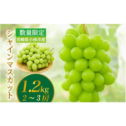 ふるさと納税 ぶどう マスカット 宮崎県 小林市 数量限定 シャインマスカット 1.2kg 農家直送(ぶどう 葡萄 高級フルーツ 甘い 高糖度 ジューシー みずみずし…