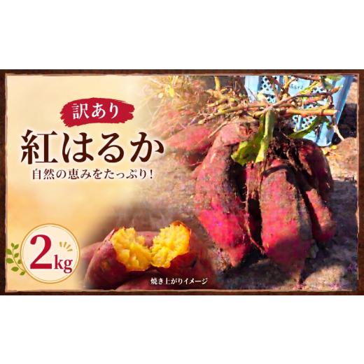 ふるさと納税 野菜類 サツマイモ 宮城県 岩沼市 産地直送 訳あり 紅はるか 2kg さつまいも 甘い ねっとり 焼き芋 スイートポテト 不揃い 規格外 無選別 野菜 …