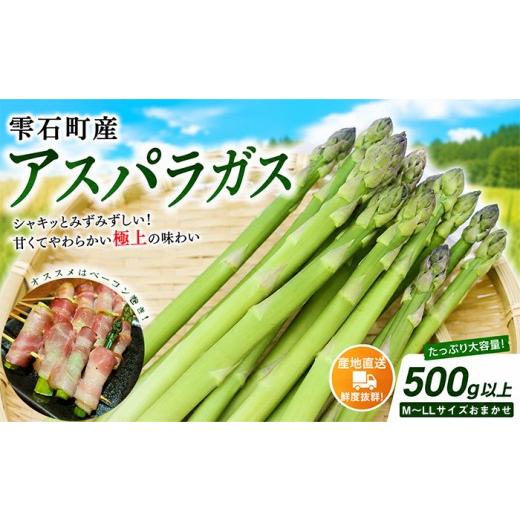 ふるさと納税 野菜類 アスパラガス 岩手県 雫石町 農家直送 国産 アスパラ M 〜 LL 総量 500g 以上 ファーム菅久 アスパラガス グリーンアスパラ 旬 野菜 やさ…
