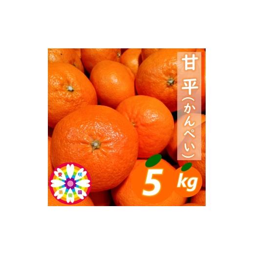 ふるさと納税 みかん・柑橘類 愛媛県 八幡浜市 先行受付 愛咲果樹園「甘平」約5kg 71-64