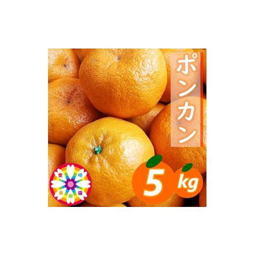 ふるさと納税 みかん・柑橘類 愛媛県 八幡浜市 先行受付 愛咲果樹園「ポンカン」約5kg 71-63