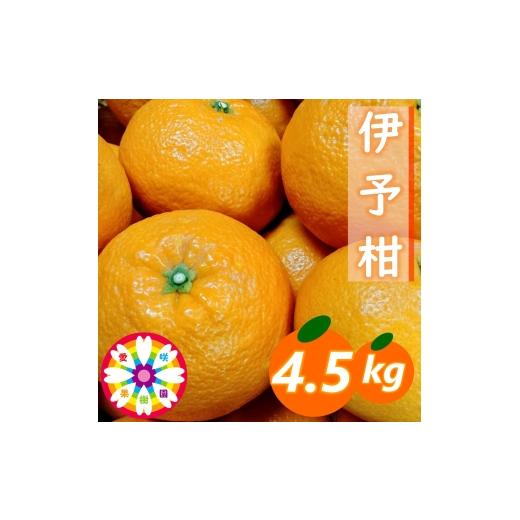 ふるさと納税 みかん・柑橘類 愛媛県 八幡浜市 先行受付 愛咲果樹園「伊予柑」約4.5kg 71-60