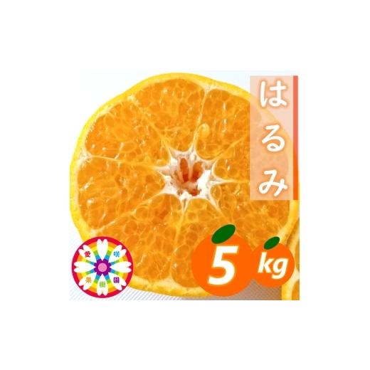 ふるさと納税 みかん・柑橘類 愛媛県 八幡浜市 先行受付 愛咲果樹園「はるみ」約5kg 71-52