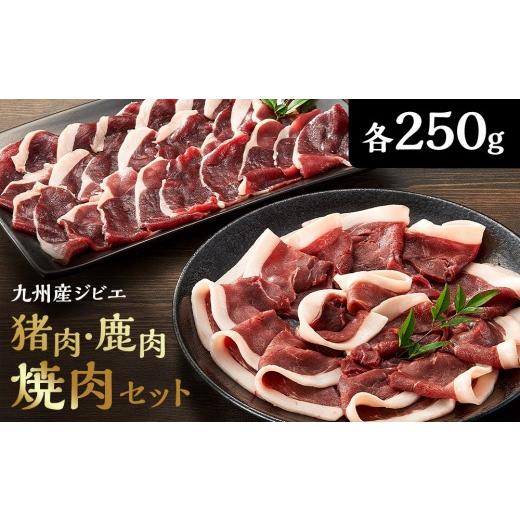 ふるさと納税 猪肉 大分県 由布市 九州産ジビエ猪肉250g・鹿肉焼肉250gセット