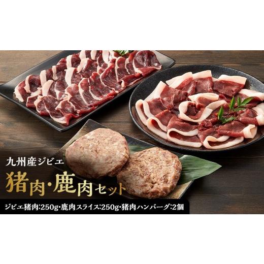 ふるさと納税 ハム・ソーセージ・ハンバーグ 大分県 由布市 九州産ジビエ猪肉250g・鹿肉スライス250g&猪肉ハンバーグ2個のセット