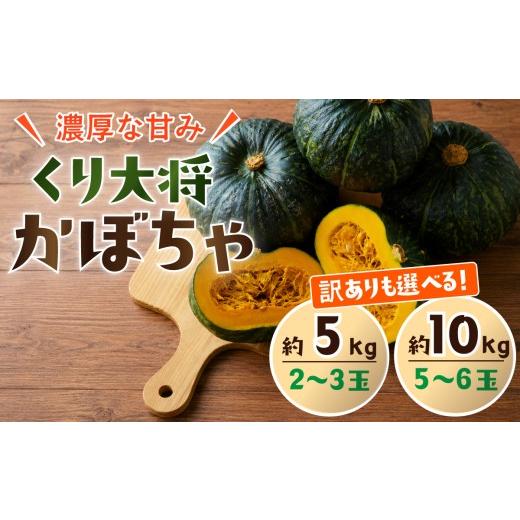 ふるさと納税 野菜類 茨城県 下妻市 訳あり かぼちゃ くり大将 [訳あり/正規品・容量が選べる ]訳あり 茨城県産 くり大将 約5kg (2玉〜3玉) / 約10kg (5玉…
