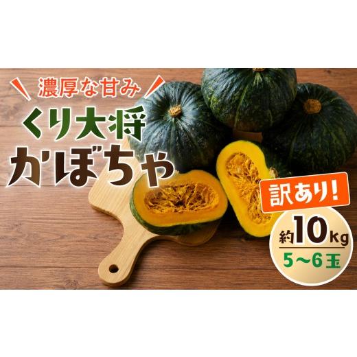 ふるさと納税 野菜類 茨城県 下妻市 訳あり かぼちゃ くり大将 [訳あり/正規品・容量が選べる ]訳あり 茨城県産 くり大将 約5kg (2玉〜3玉) / 約10kg (5玉…