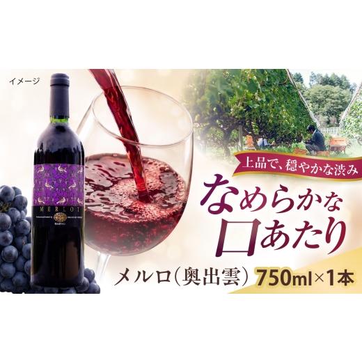 ふるさと納税 ワイン 赤ワイン 島根県 雲南市 奥出雲ワイン メルロ 1本 750ml 赤ワイン 国産 島根県雲南市/有限会社奥出雲葡萄園