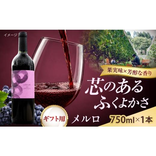 ふるさと納税 ワイン 赤ワイン 島根県 雲南市 贈答用 メルロ 1本 750ml 赤ワイン 国産 ギフト 島根県雲南市/有限会社奥出雲葡萄園